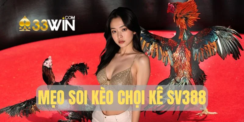 Bí quyết soi kèo chọi kê cực đỉnh