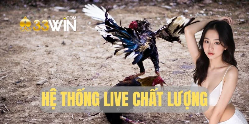 Đơn vị live chất lượng, cực sắc nét