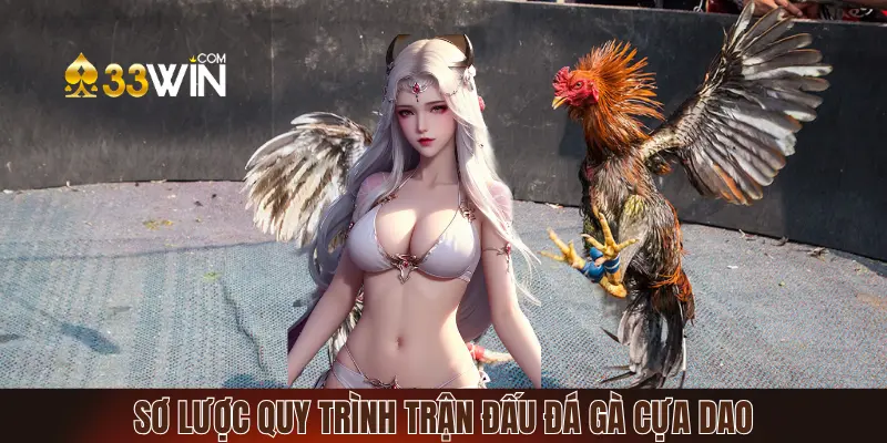 Quy trình chuẩn của trận đấu cựa dao