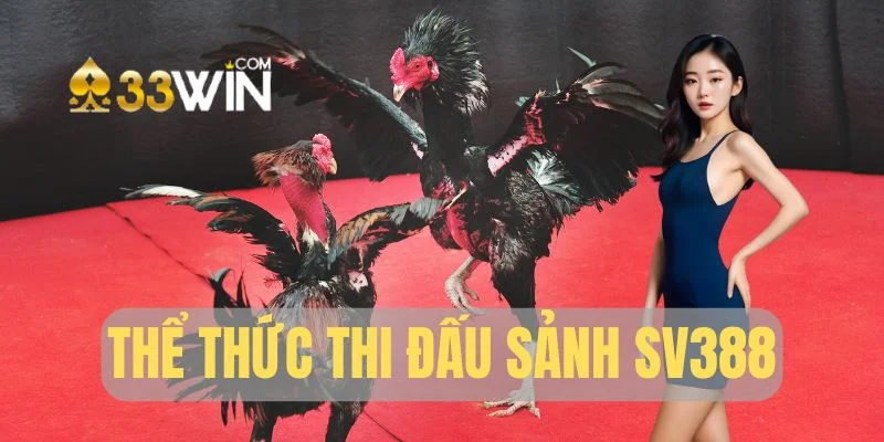 Sảnh SV388 và những hình thức đấu hot