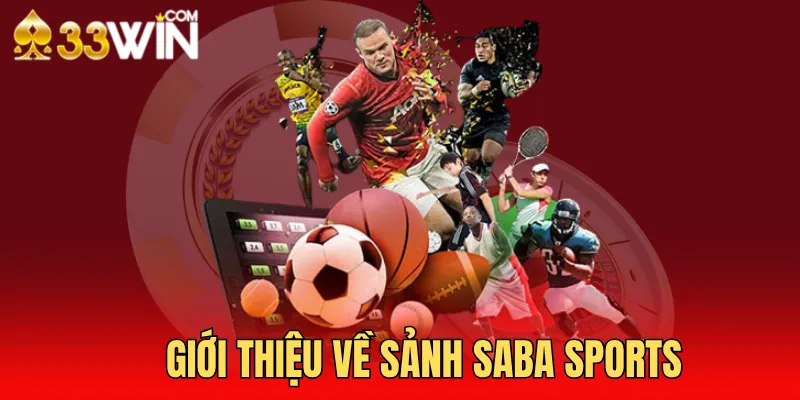 Tìm hiểu thông tin sảnh Saba sports