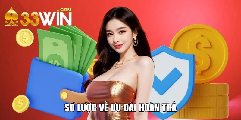 Ưu đãi hoàn trả và thông tin chung